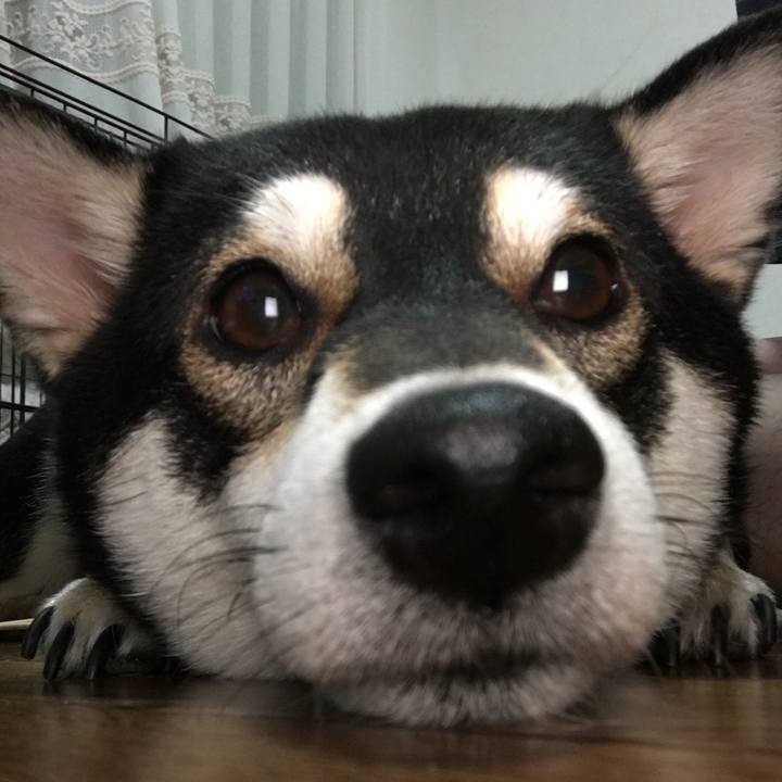 4c19c93e b942 4f7c acd2 55843729ac36