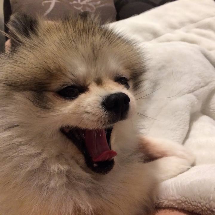 4c1b8bde c06a 4c53 9522 bc0c349fbc27