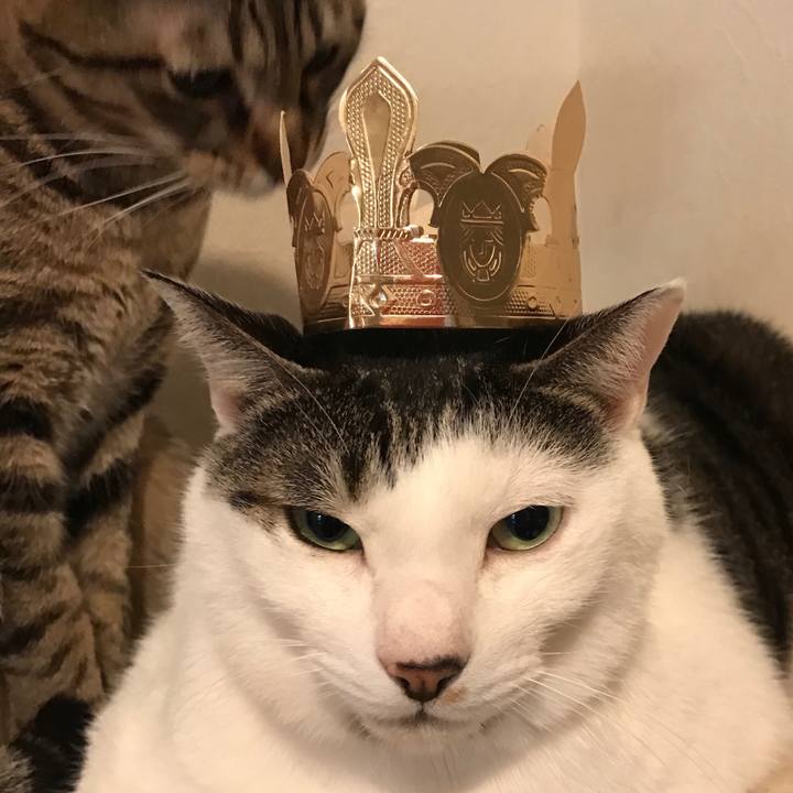 4c1bb490 c46a 43ea 8d4f d0c7e3cfa6e7