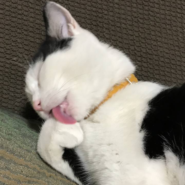 4c1c8c83 e982 452c b2aa e928685e720e