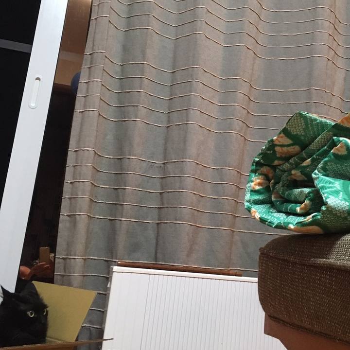 4c1cdfda 4c5c 4508 bdd1 04d51c18ecfd