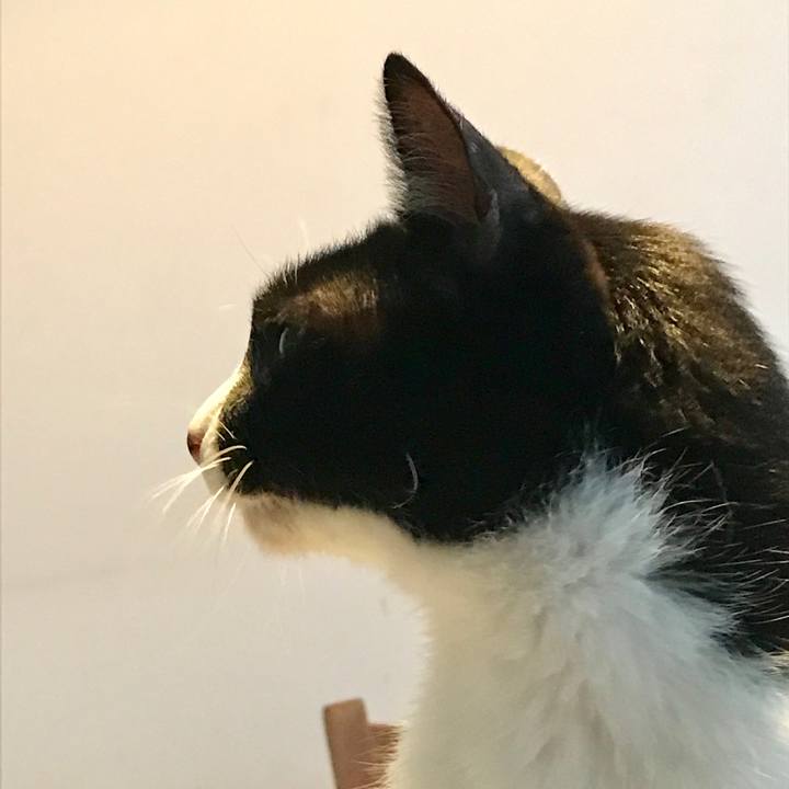 4c1d4529 16e5 48d7 b754 8b32c452b8e4