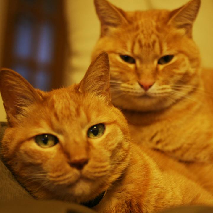 4c1dd5c1 a27f 498f 8e2d eb65a4a62bfc