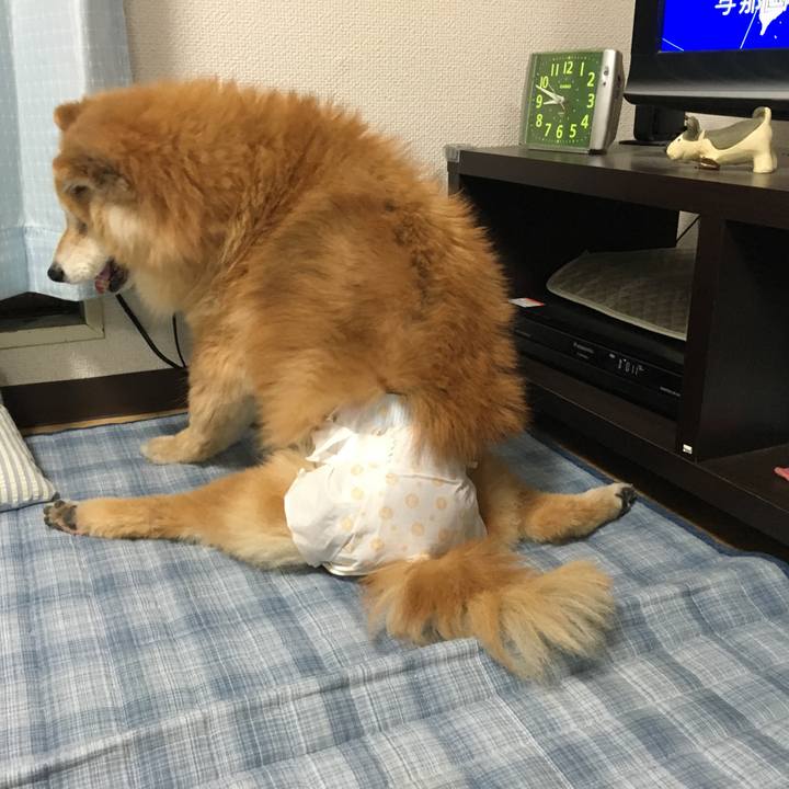 4c1e7912 22e1 4bf2 8683 279af6c8ede5