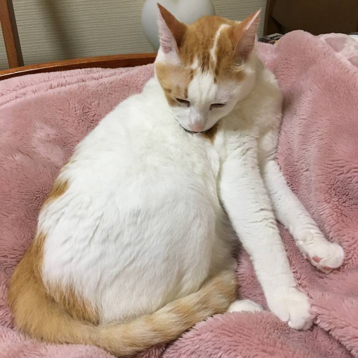 4c1eabef 14a0 4f53 b942 9bfb40b8b284