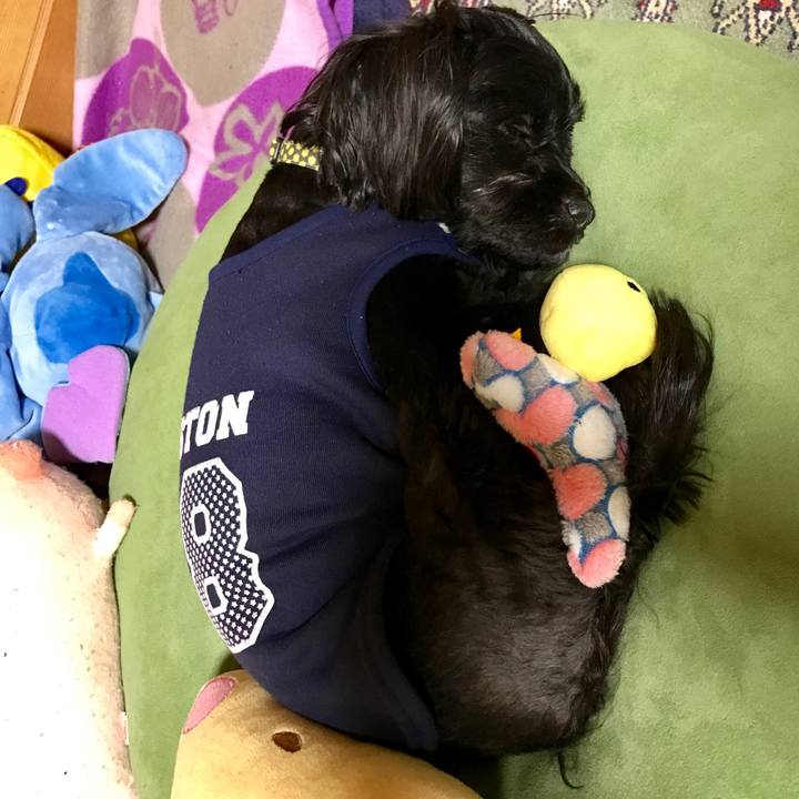 4c1eda61 5e6d 4253 a237 00b0b64e20c7