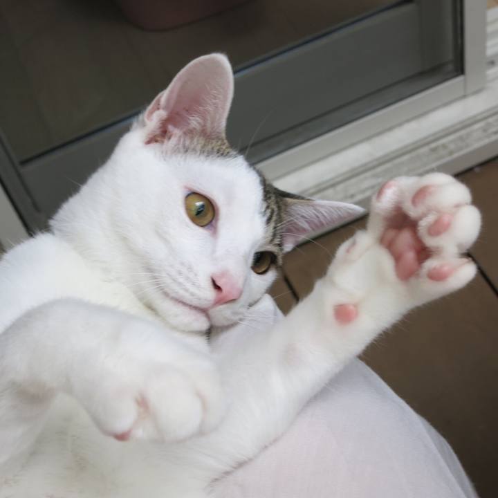 4c1f27e8 64e3 47bf b2cd c1ddf968a27b