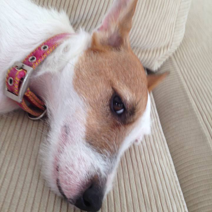 4c1f5501 2c2a 4c3e 9fc3 4df8829ba348