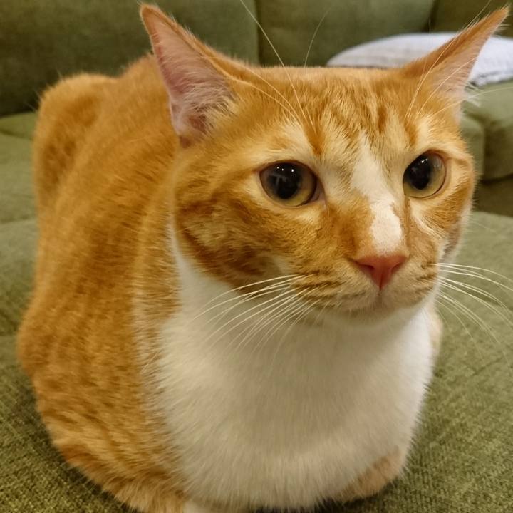 4c1f769b 739f 44ec 8307 7aaea40ba04c