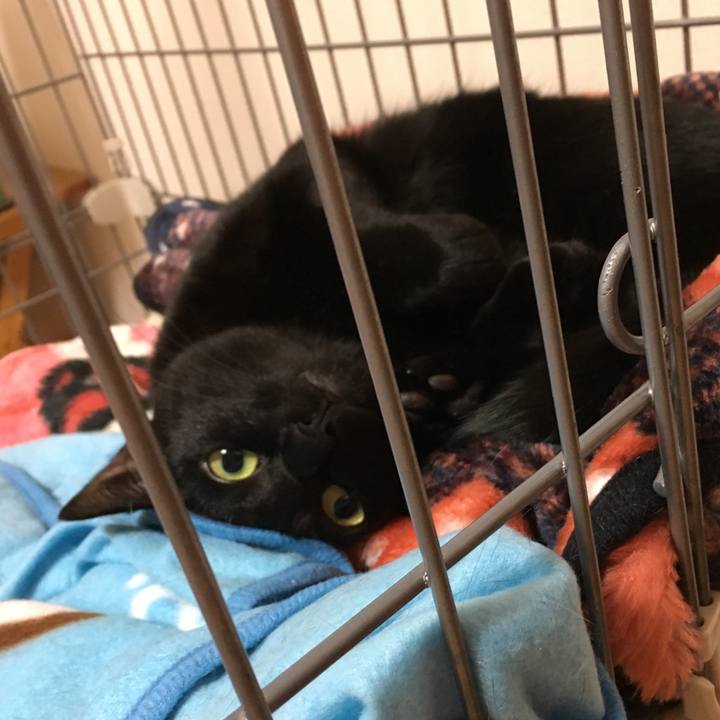 4c1f8758 7f38 43bf a80f 450f762eac25