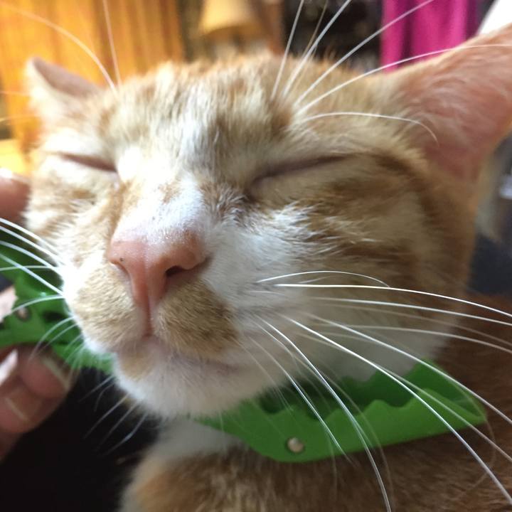 4c1fbabc 64ba 4b55 abaa 447e6bc28c20