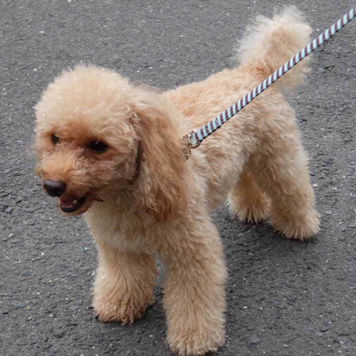 4c1ff53b 42f2 42fe 8161 312da76afc7e