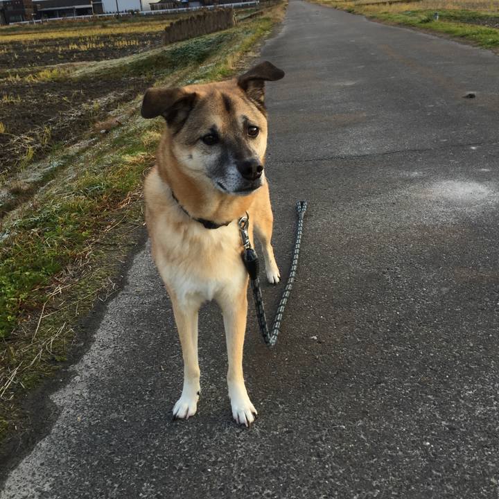 4c201ed3 7240 452b b6d2 b15c872220b5