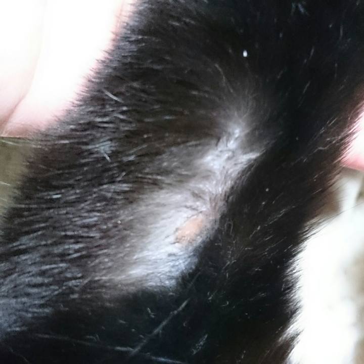 4c20289c e146 46e3 891a 6b5ead1d3deb