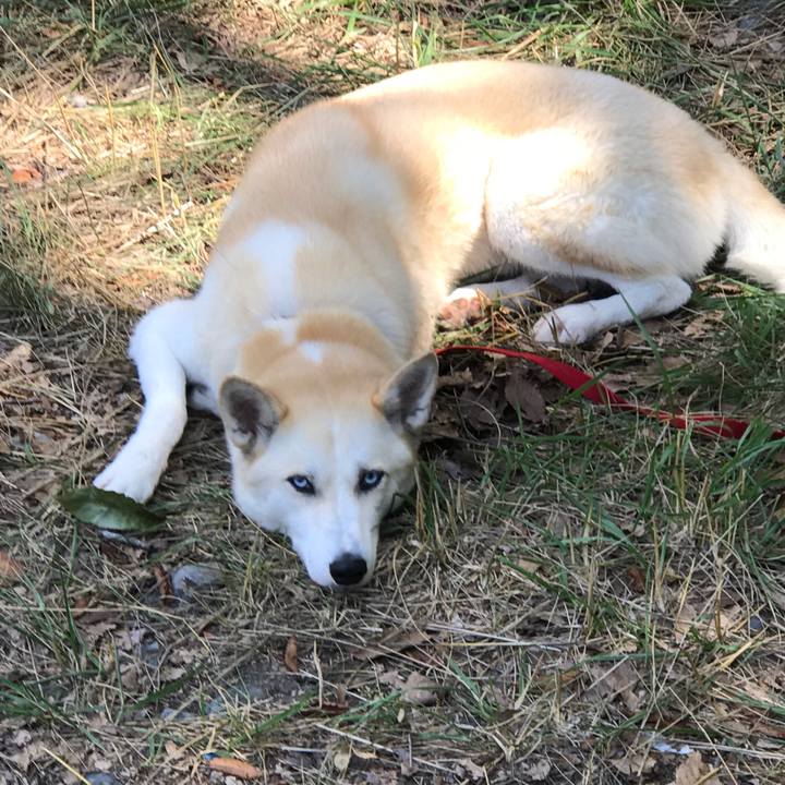 4c2047b8 6e85 4dc6 9d11 0bbba60d0f37