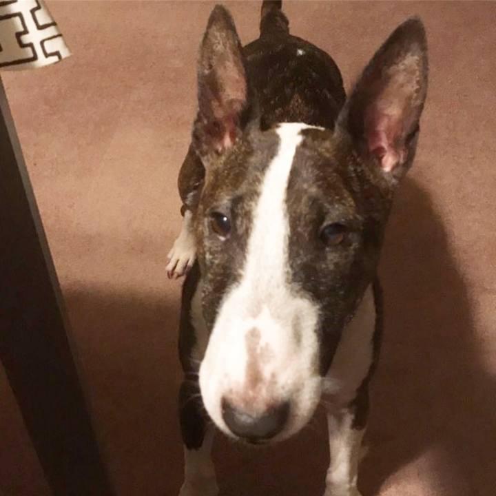 4c204cf3 4f11 44bf 9c1a 40e861d6bc5a