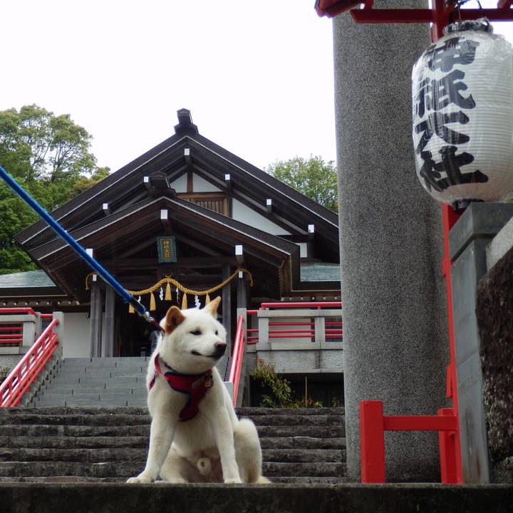 4c20c31c d3d2 4eae 98da 1c353d5ade92