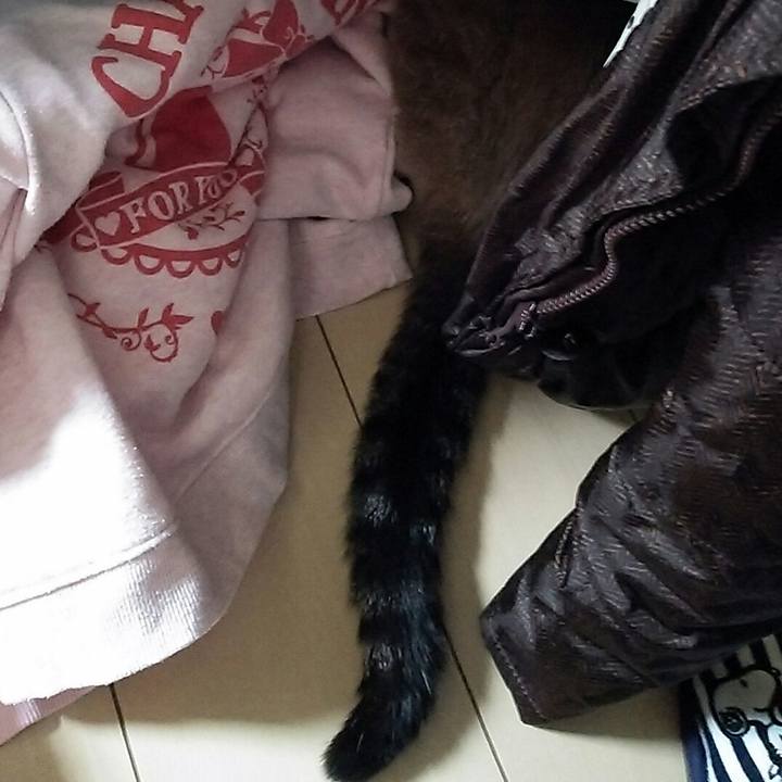 4c22909b e94d 4776 99b9 f2c94228df83