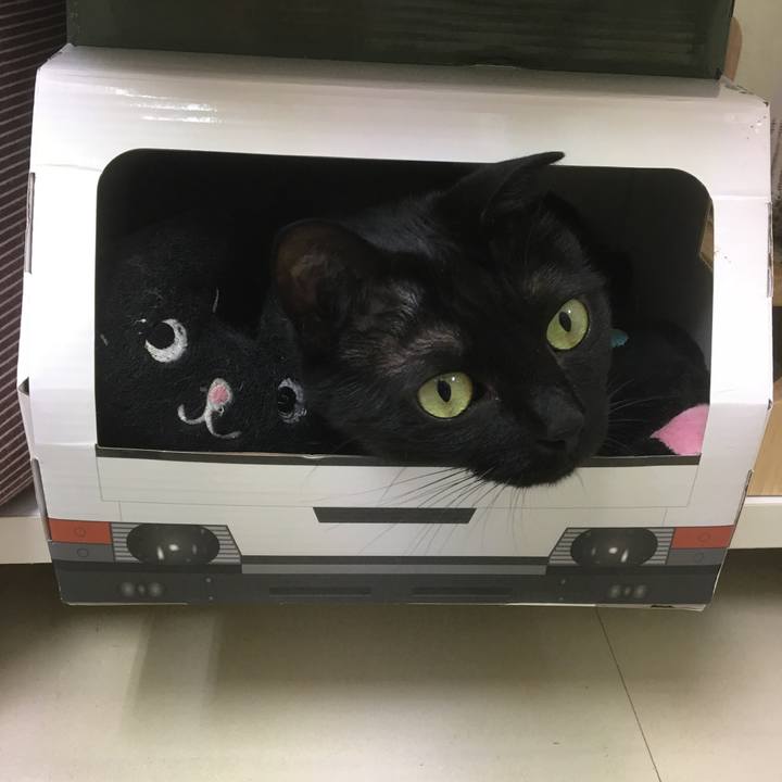 4c22b914 d380 4cd6 b661 0a3b06bfdb42