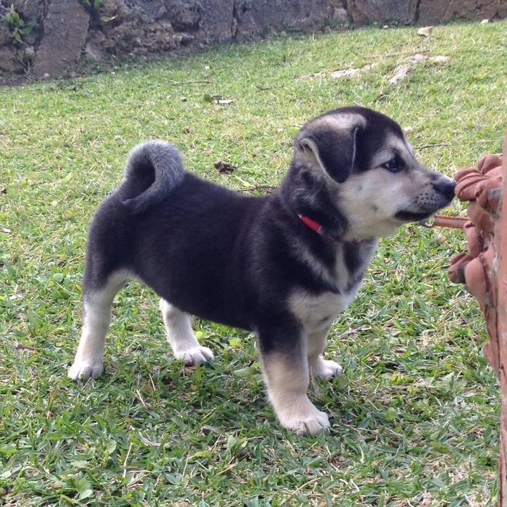 4c22f84a 7215 492c 8996 77b84df92ce0