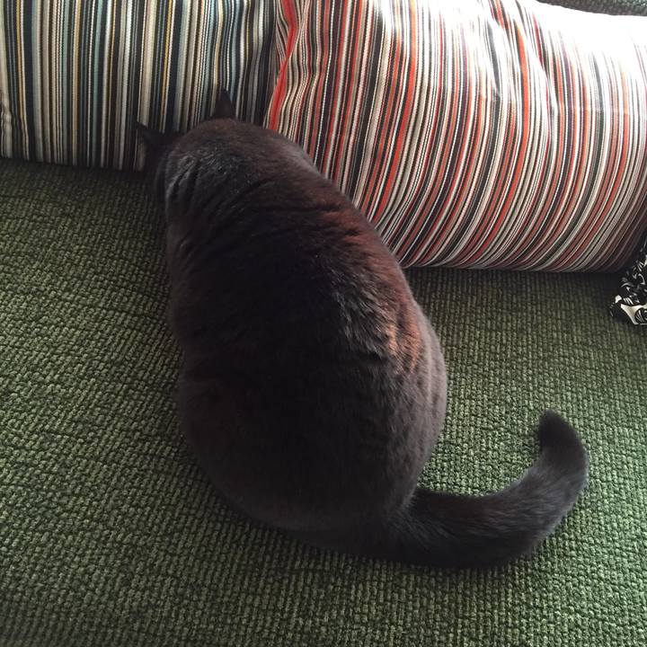 4c23304f 4592 4647 ac13 4c2027a8c7dd