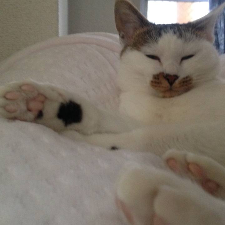 4c2355b1 f1ec 4ca0 8b97 bbc3d90022f4