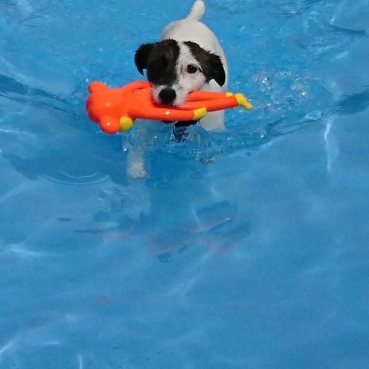 4c235b62 3ef5 4883 9d7a 397df10896c3