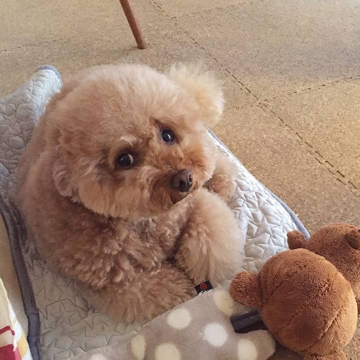 4c23da46 391a 4f09 b340 a3db15496474