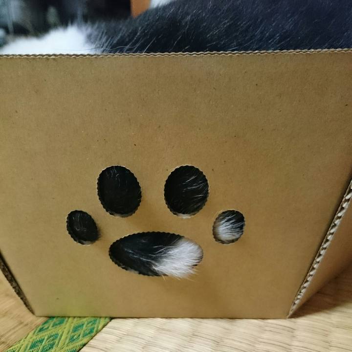 4c240a45 34ed 47b6 a7fe e7717a5511d5