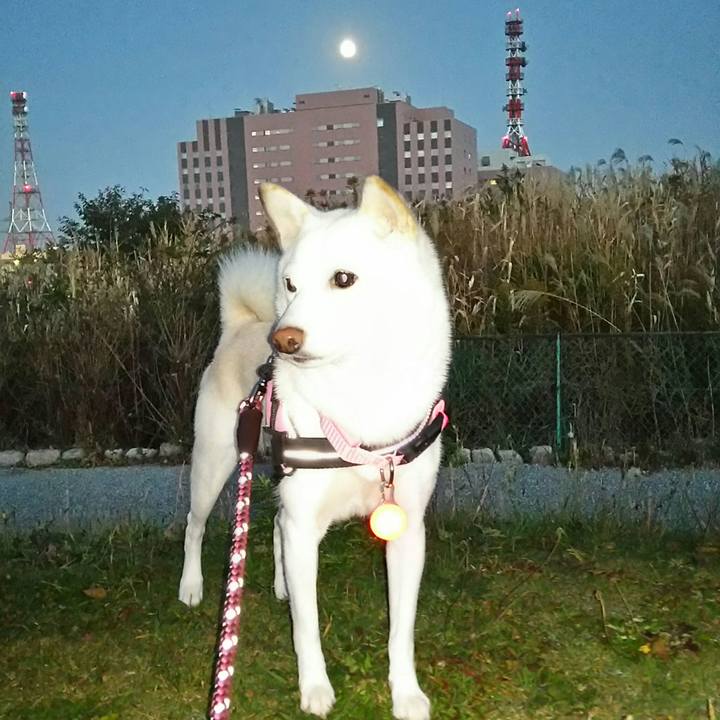 4c24272b c9cf 45c3 875f 4a406bae5996