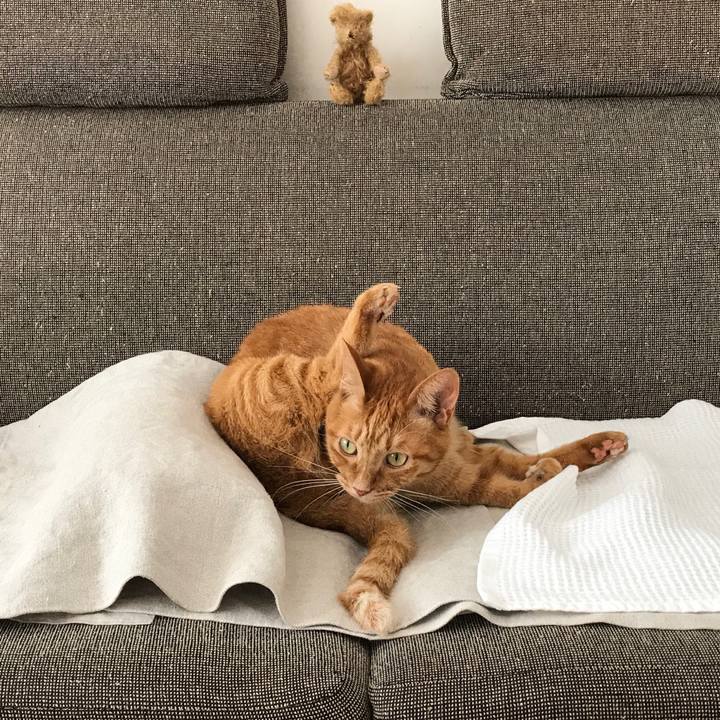 4c248cb5 ea76 4f1f a723 62c29c5cbe1b