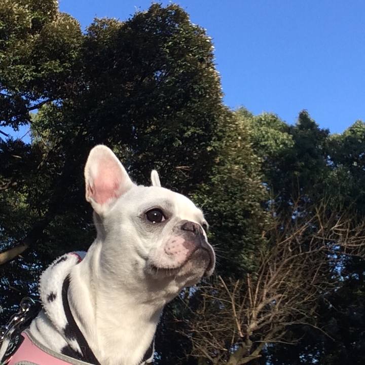 4c24c541 9408 4c95 b68e 4ad0bb69cf0c