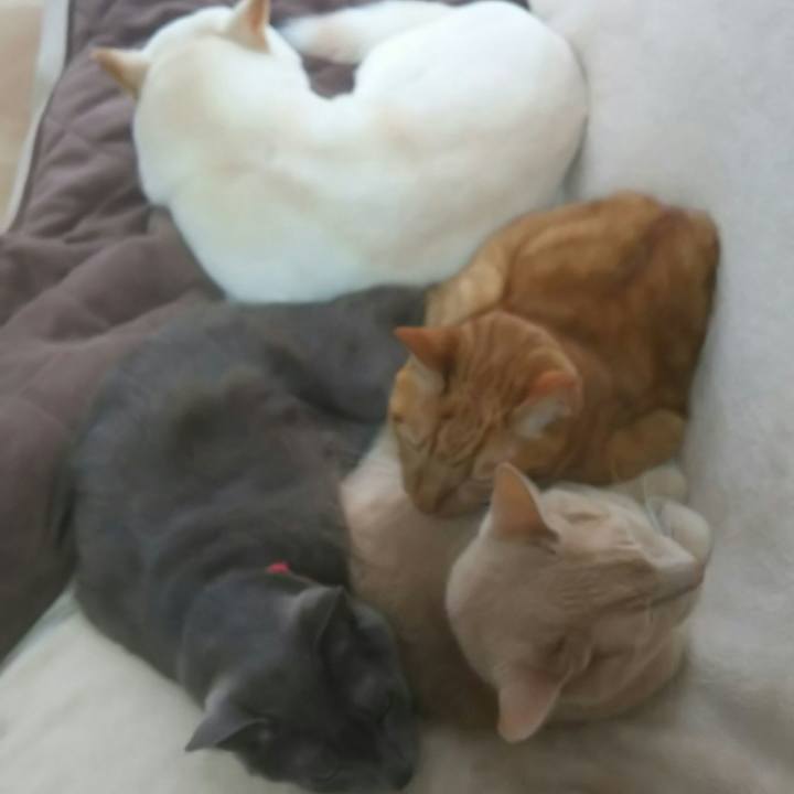 4c24c8ed 5687 47e5 9cbb 630208e11638