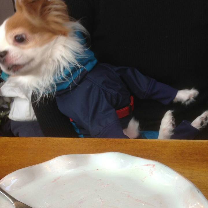 4c24cf7b c34b 4c79 a3be 85b1713b1002