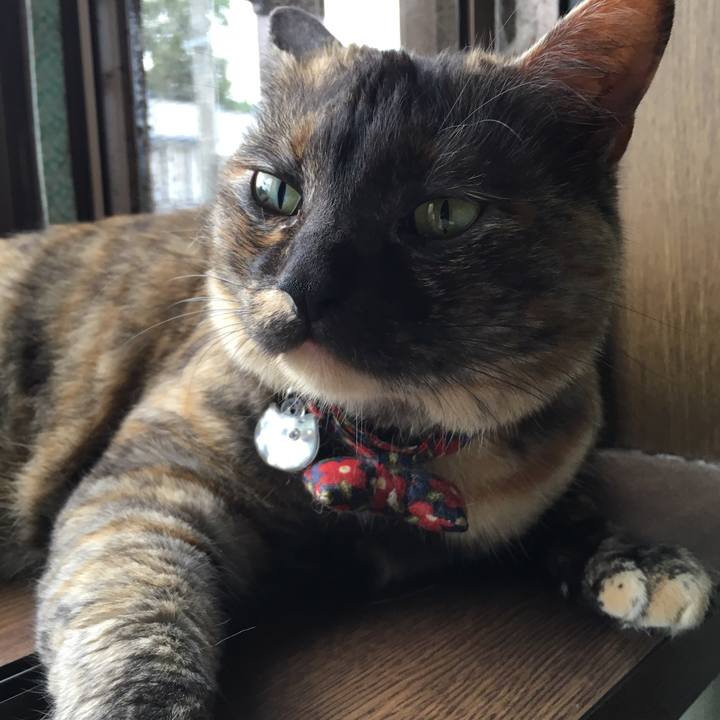 4c24ef02 e630 4815 845e 2654bea8b862