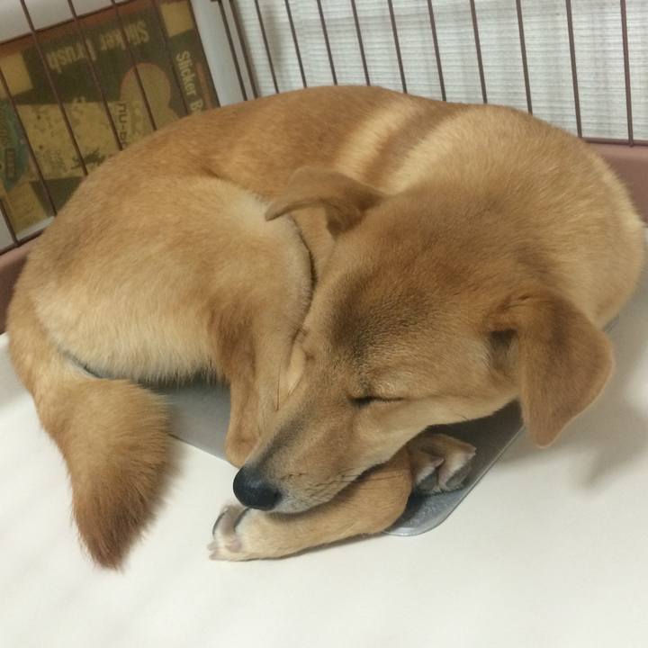 4c251e3f 1c81 4957 8d9b 4ba97a6dabc1