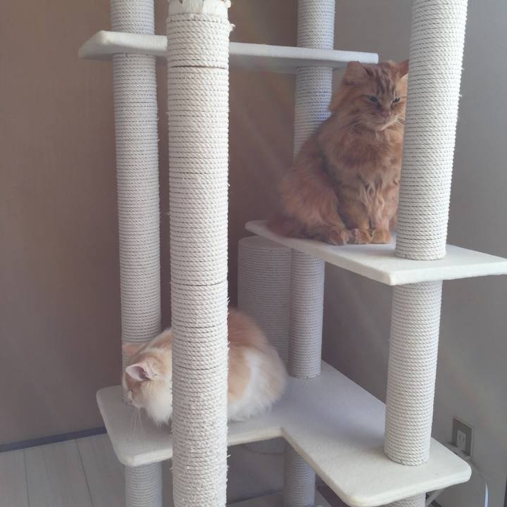 4c25a75a ac0c 44fd 83fb 7017a15d5bad