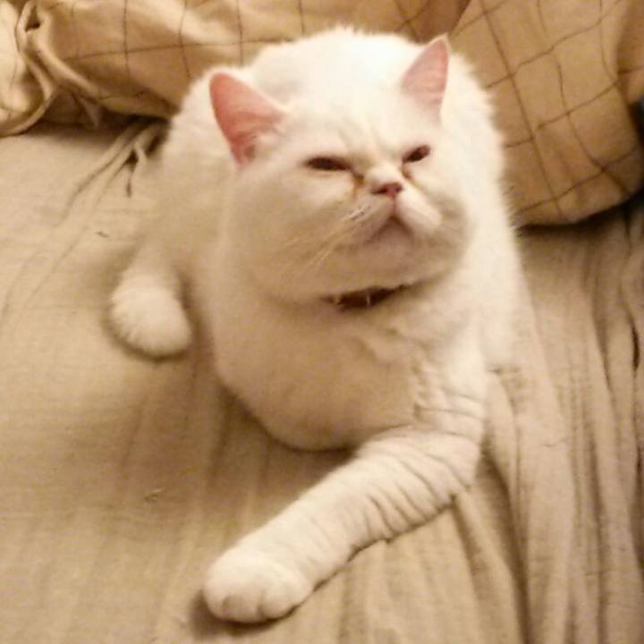 4c25e2a6 bf5b 4e0b bb5f a9f21325eb08