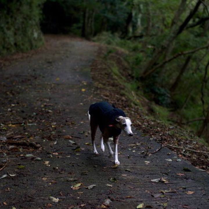 4c26183d 9b9a 416c b9bb 7a0c76aaaecc