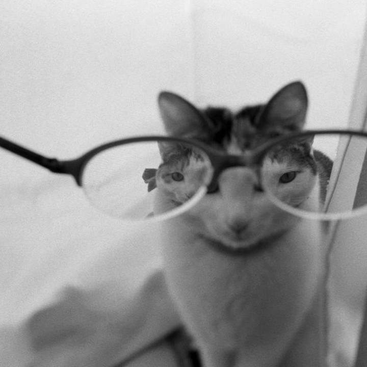 4c26588a 542c 407b b27e 3966ba6cbc4c