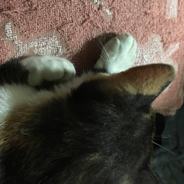 4c267d83 6f4d 4aa8 a543 dca1f0678e1f