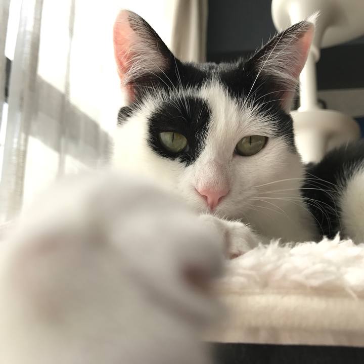 4c26e71f 704c 45c9 bb7b fa88de7a1af6