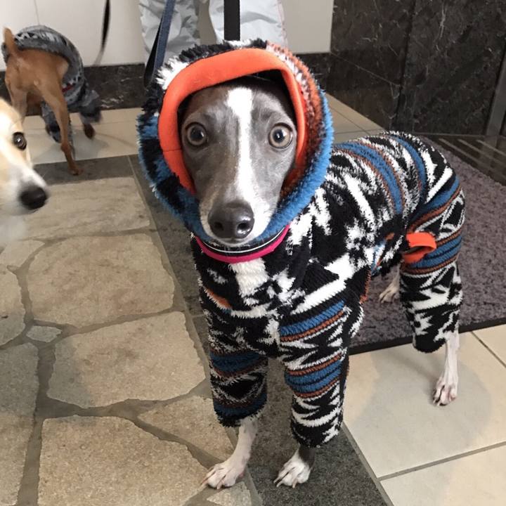 4c277828 715a 4141 9eca 40e3d8a5d592