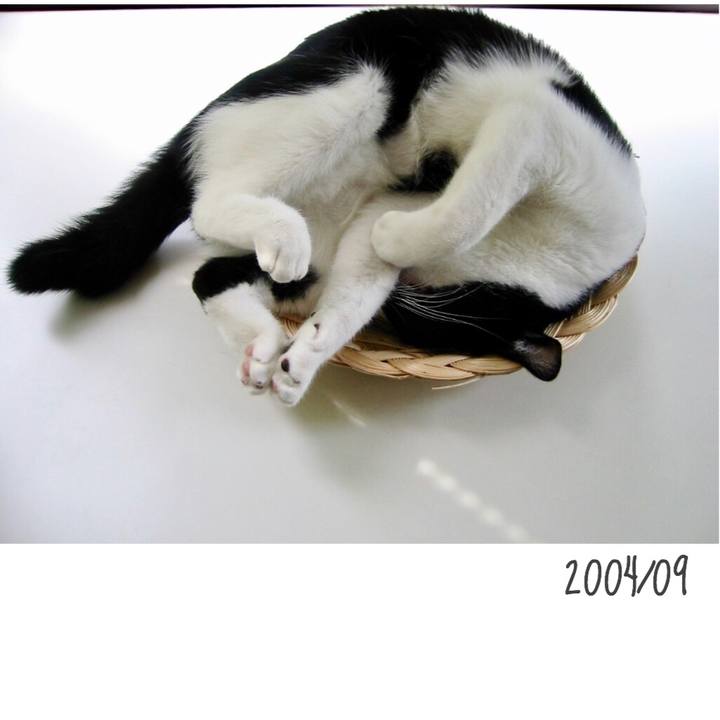 4c27eda0 414d 43eb b969 ac9c8b1008eb