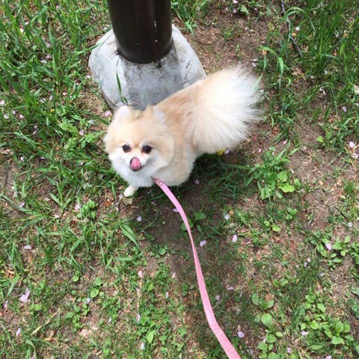 4c28417a 2467 4b9c b0e1 80471251dd09