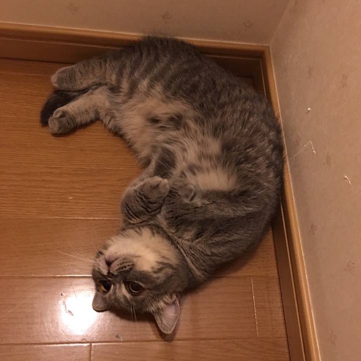 4c28505a f7e7 425c 926b 304a6950b8f8