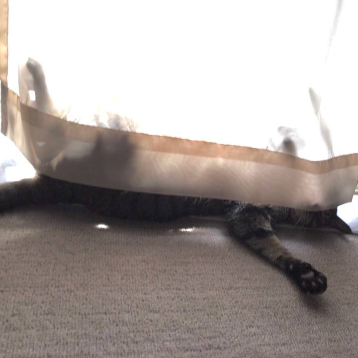 4c28cb30 f5a1 4c97 97d5 d34c84e3cf32