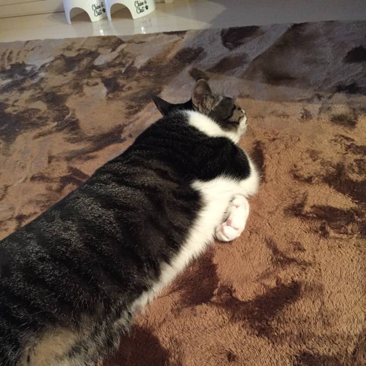 4c2914a8 2f1f 4e38 bbb2 57b01bcd0c7e