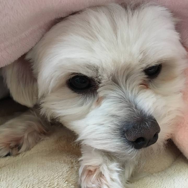 4c296e3e bb80 4e00 9b32 5d591836f133