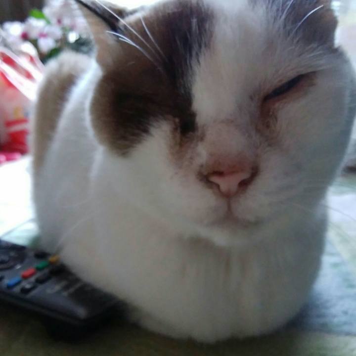 4c29d509 5fbd 43f5 baad aff3e0c49f4c